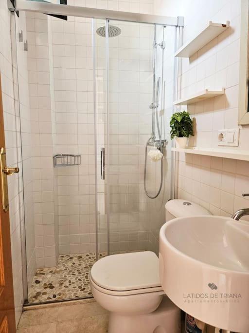 Latidos De Triana - Atico Con Vistas A Todo Appartement