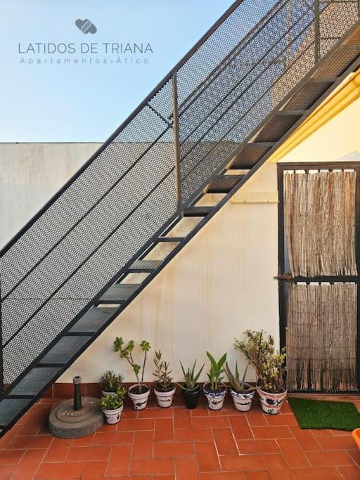 Latidos De Triana - Atico Con Vistas A Todo Appartement Séville